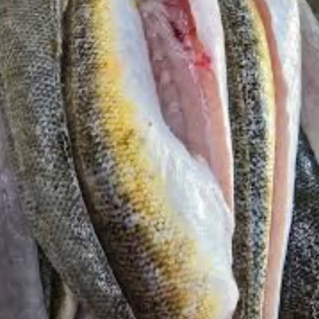 Whole fresh fish laid out at the counter, one filleted open
